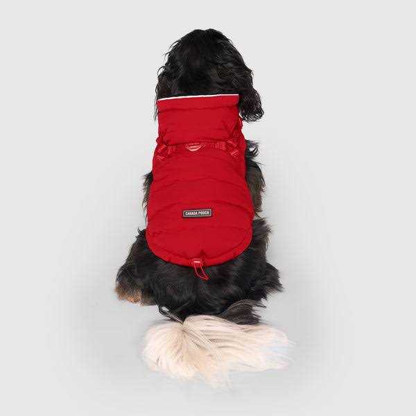 Black Puffer Harness I87351