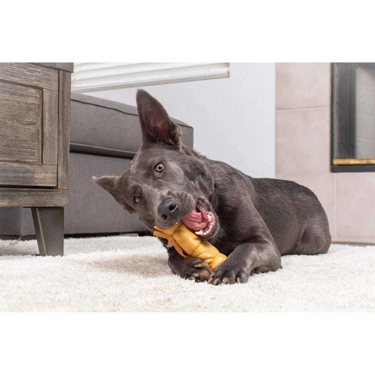 Water Buffalo Dog Chews 5 Pack B7086