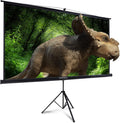 100 Inch Portable Projector Screen with Stand U104500
