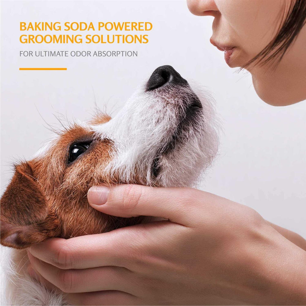 Super Deodorizing Dog Shampoo E300683