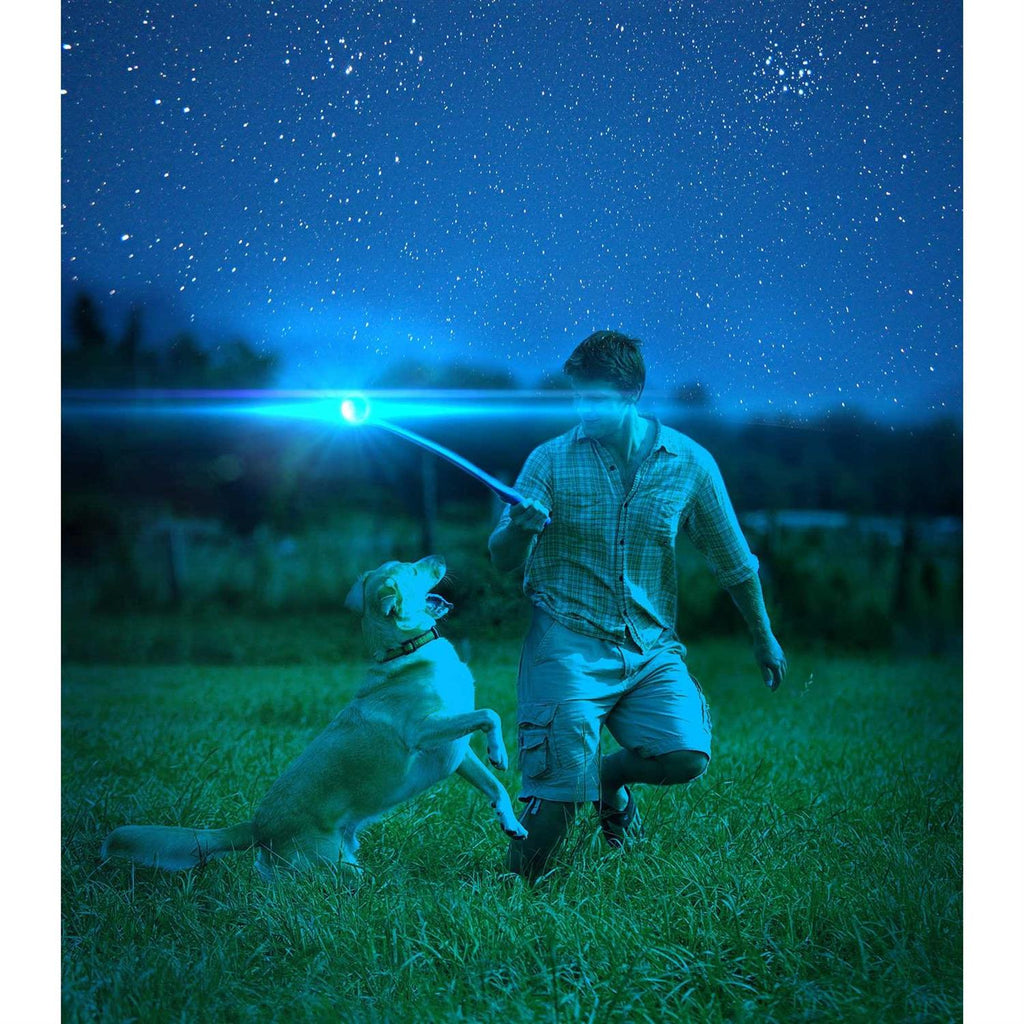 Light Up Fetch Ball H9596