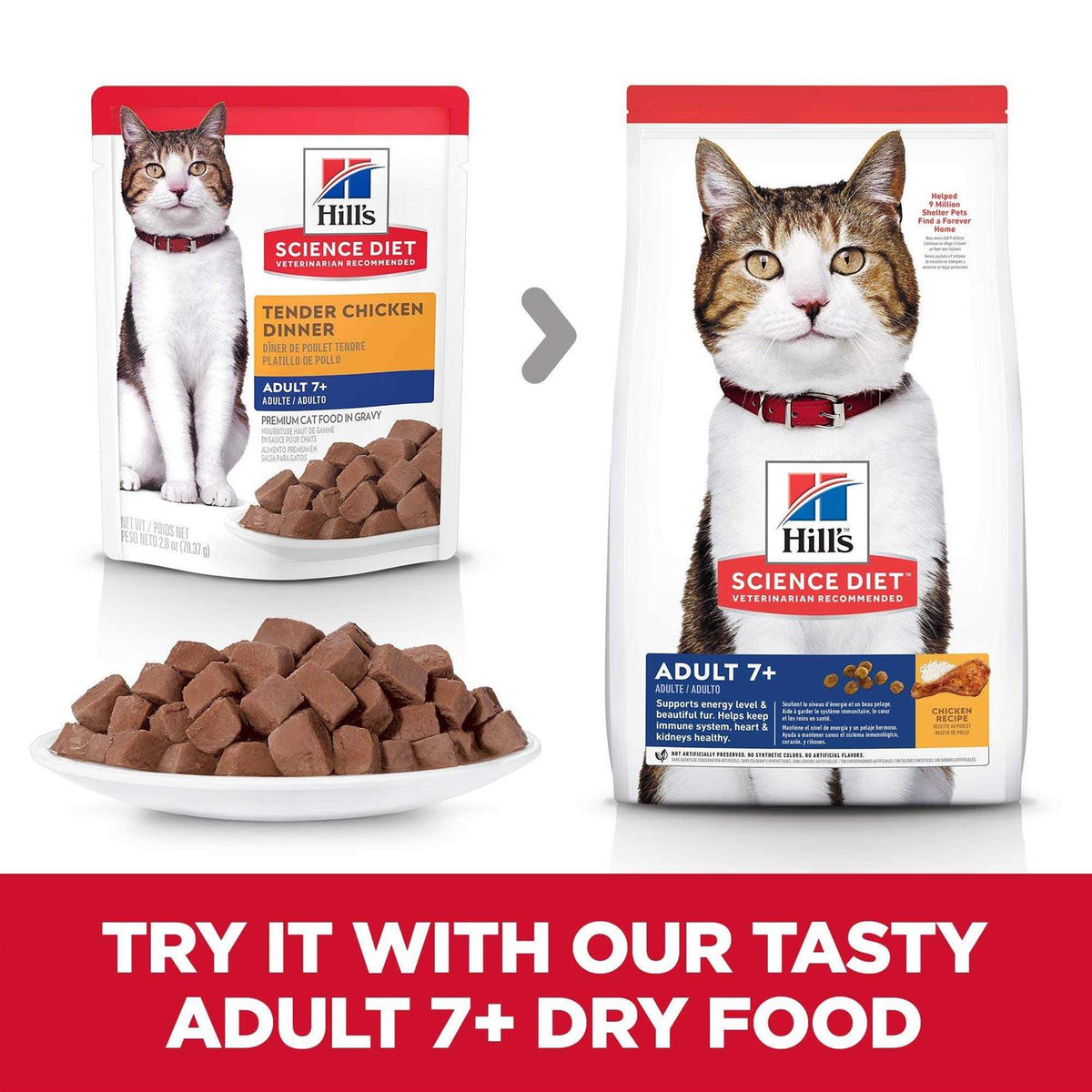 Tender Chicken Dinner Wet Cat Food S98569