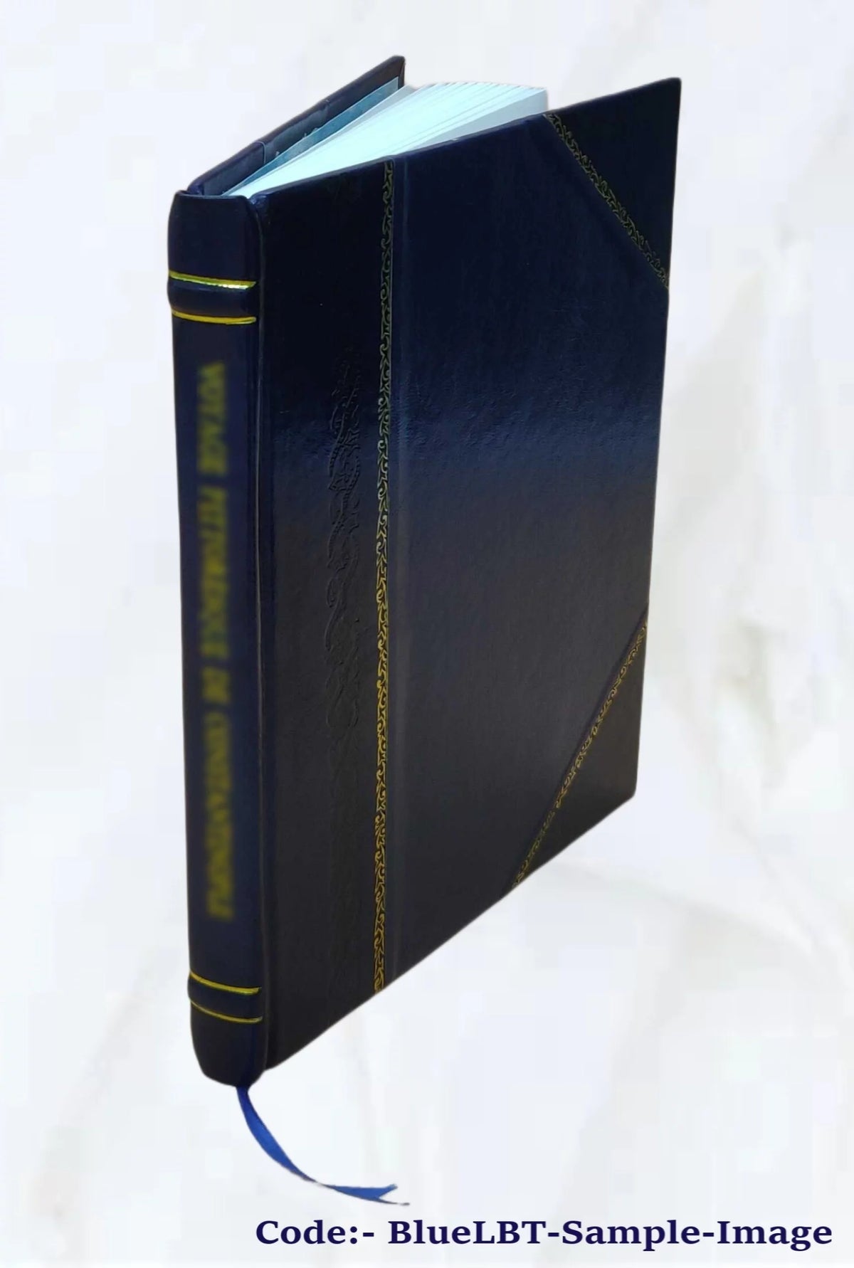 Leather Bound Furniture L87345