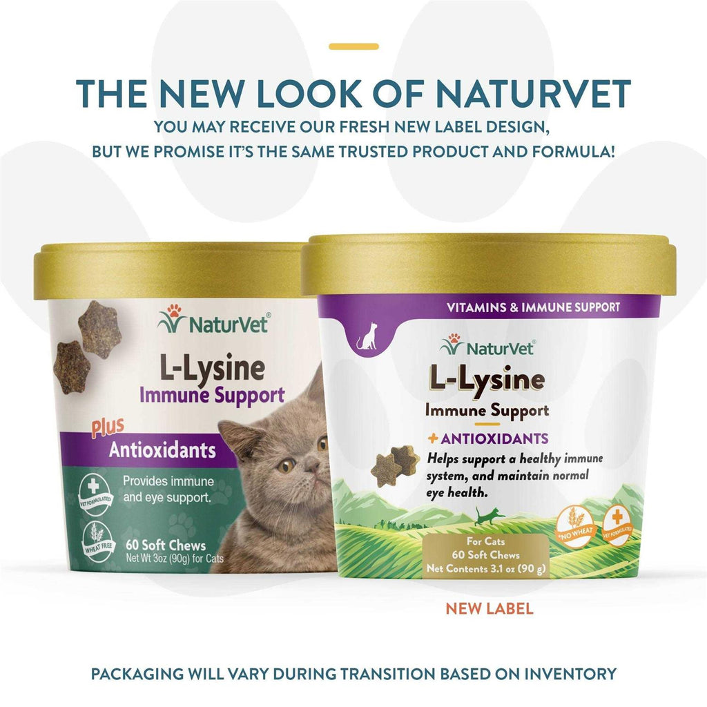 L-Lysine Immune Support Plus Antioxidants J641558