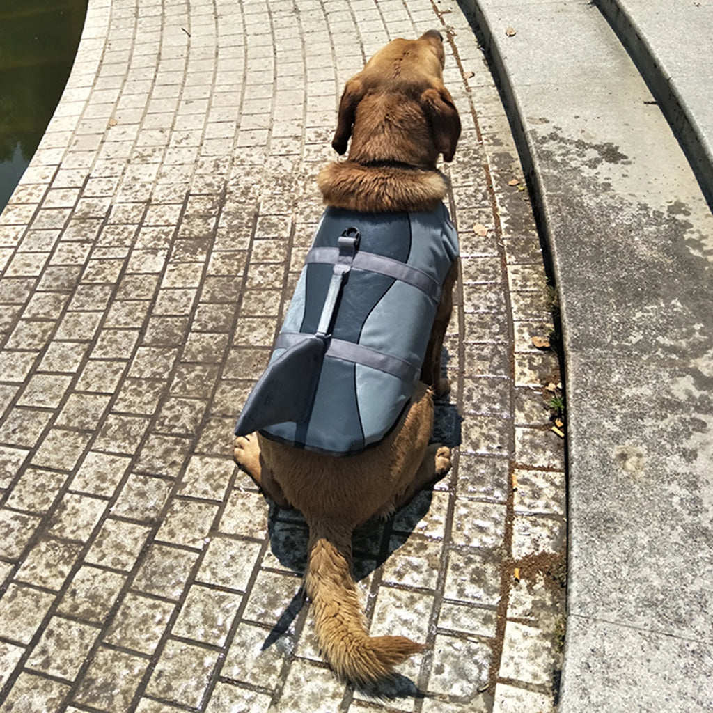 Dog Shark Swimsuit Vest Pet Safety Wear X114539