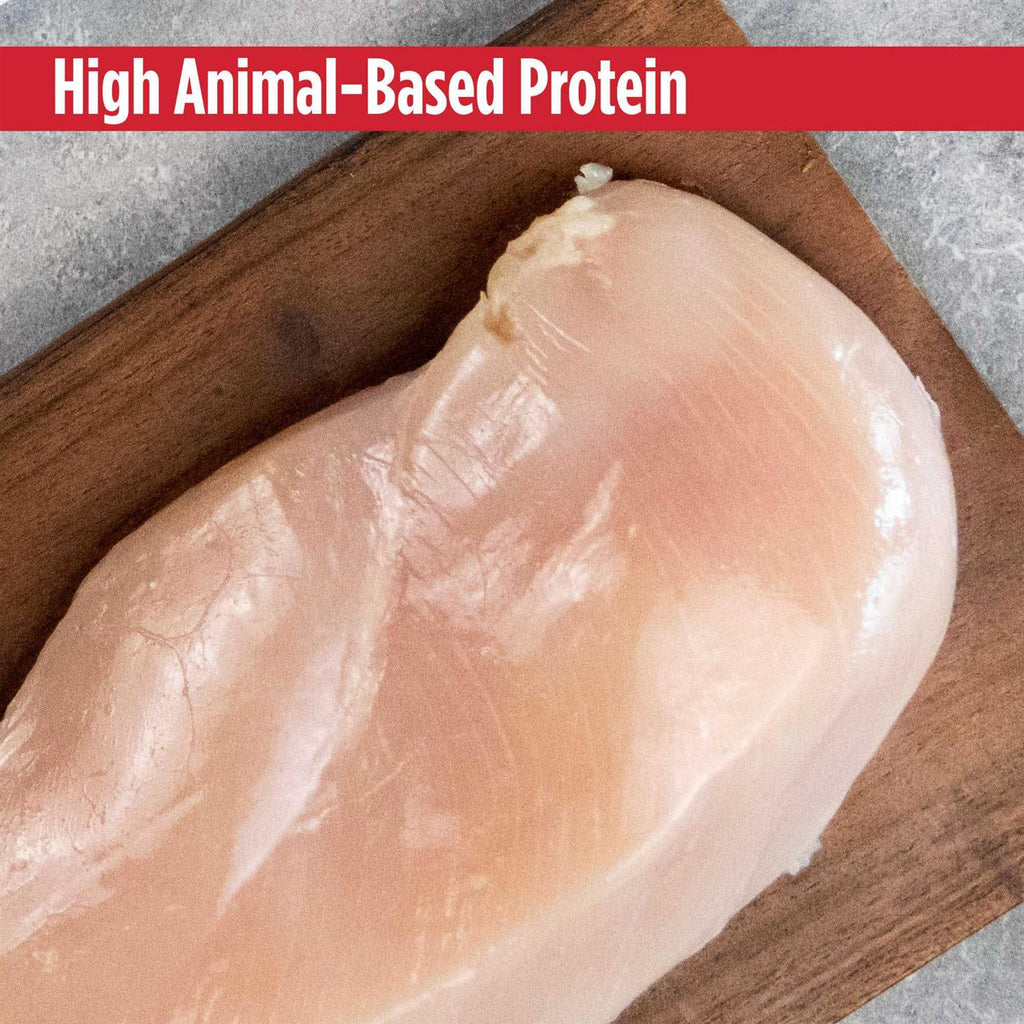 Grain Free Limited Ingredient Turkey Dog Food V98957