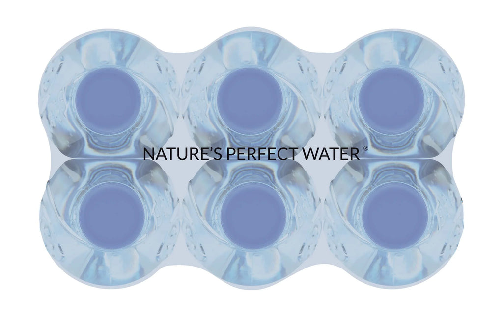 Naturally Alkaline Spring Water 600ml 6 Pack X8227