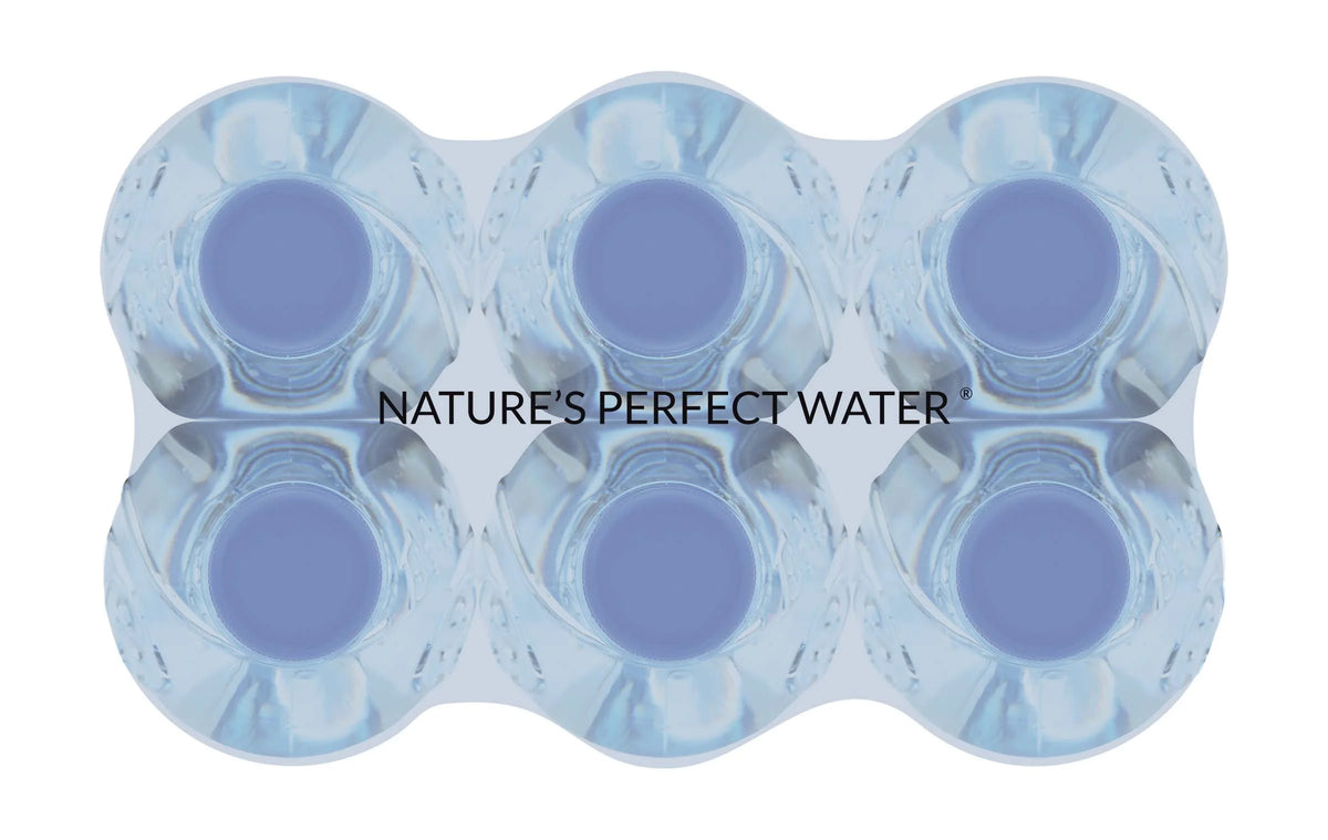 Naturally Alkaline Spring Water 600ml 6 Pack X8227