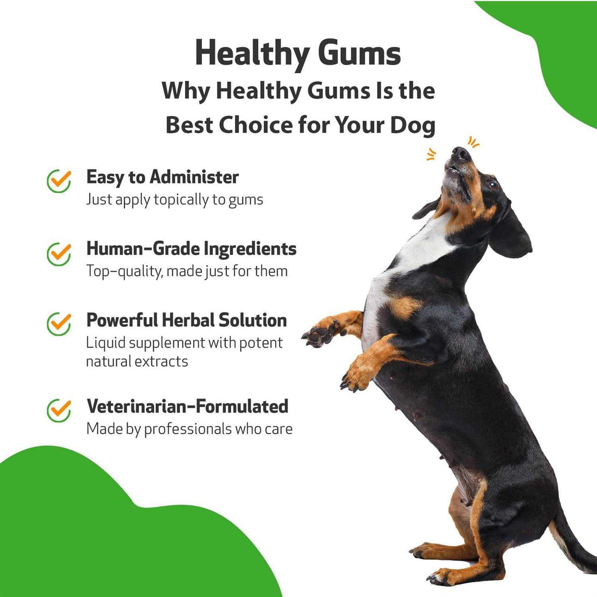Healthy Gums for Feline Periodontal Health Q842985