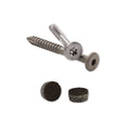 Epoxy Coated Carbon Steel Plugs 100 Count F233263