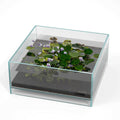 Glass Rimless Low Iron Aquarium Tank 1.6 Gallon O18570