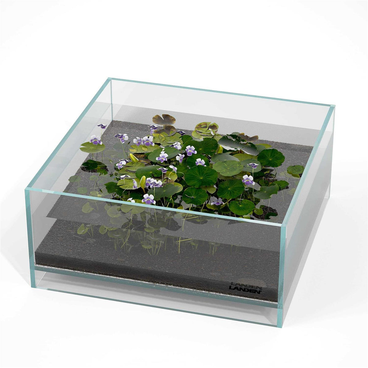 Glass Rimless Low Iron Aquarium Tank 1.6 Gallon O18570