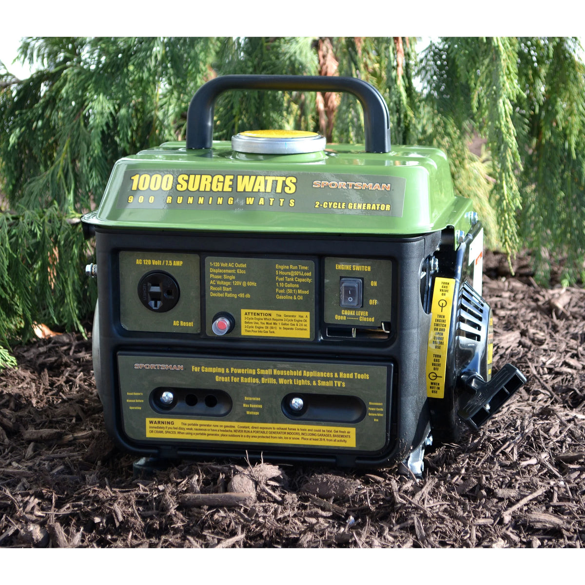 1000 W Portable Generator A73206