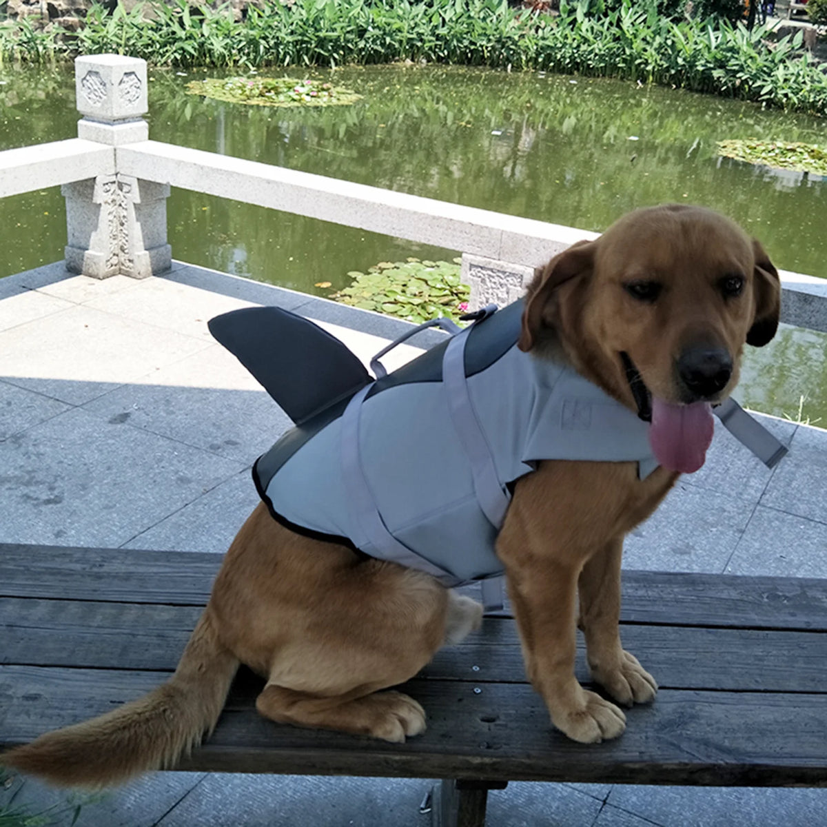 Dog Shark Swimsuit Vest Pet Safety Wear X114539