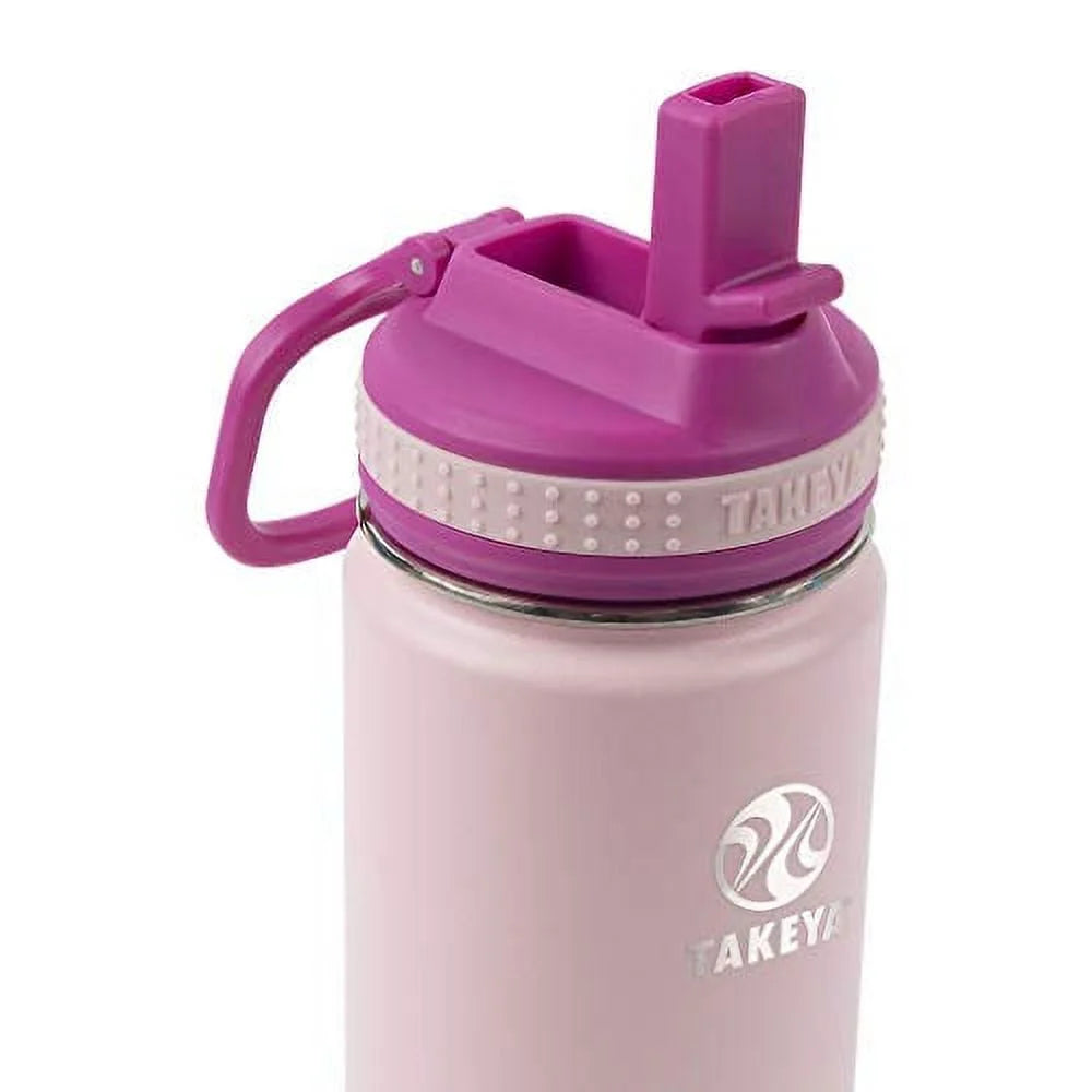 16oz Insulated Stainless Steel Bottle with Straw Lid R2580