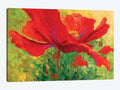 Red Poppy Canvas Art M291257
