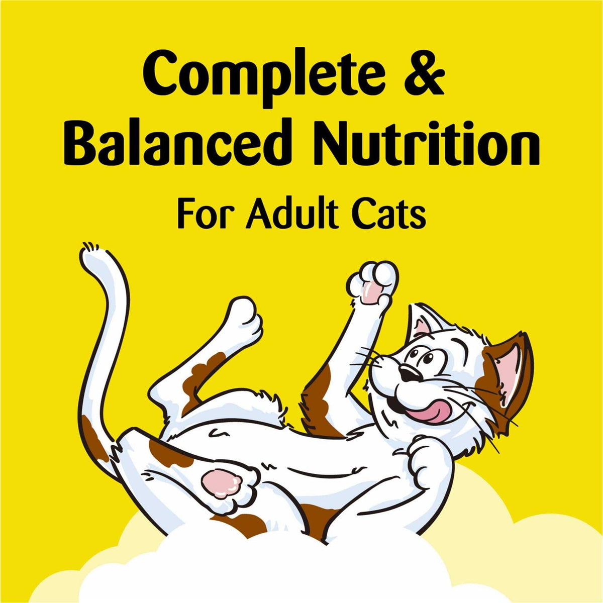 Chicken Flavor Cat Treats R892951