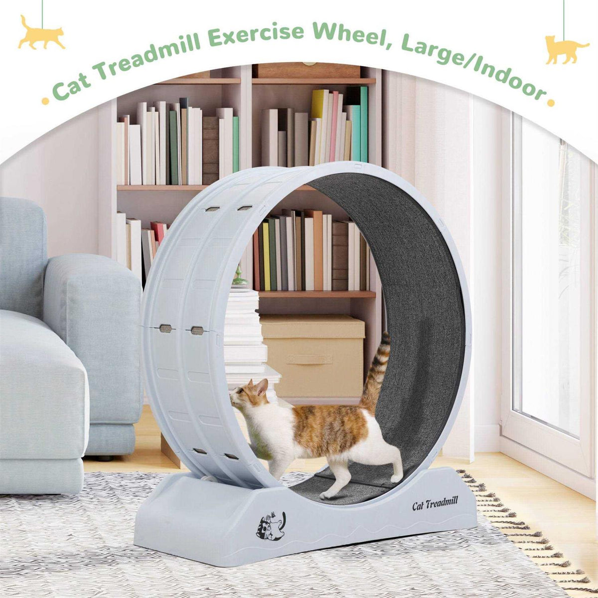 Cat Exercise Wheel with Locking Mechanism J710