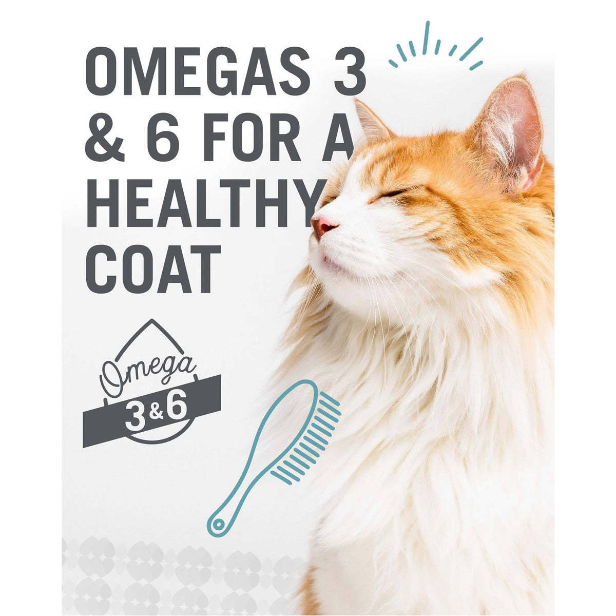 Cat Food M836