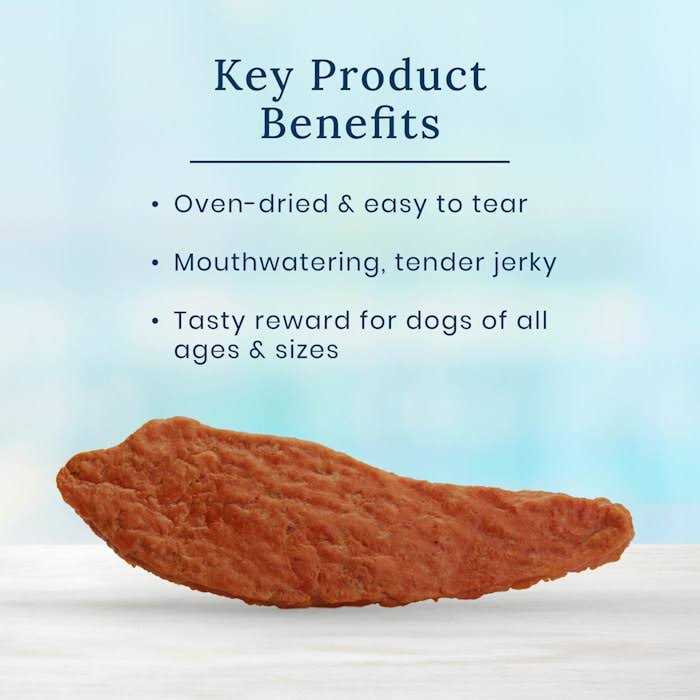 Dog Treats Y5549