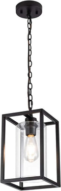 Clear Glass Shade Black Metal Pendant Lighting H508