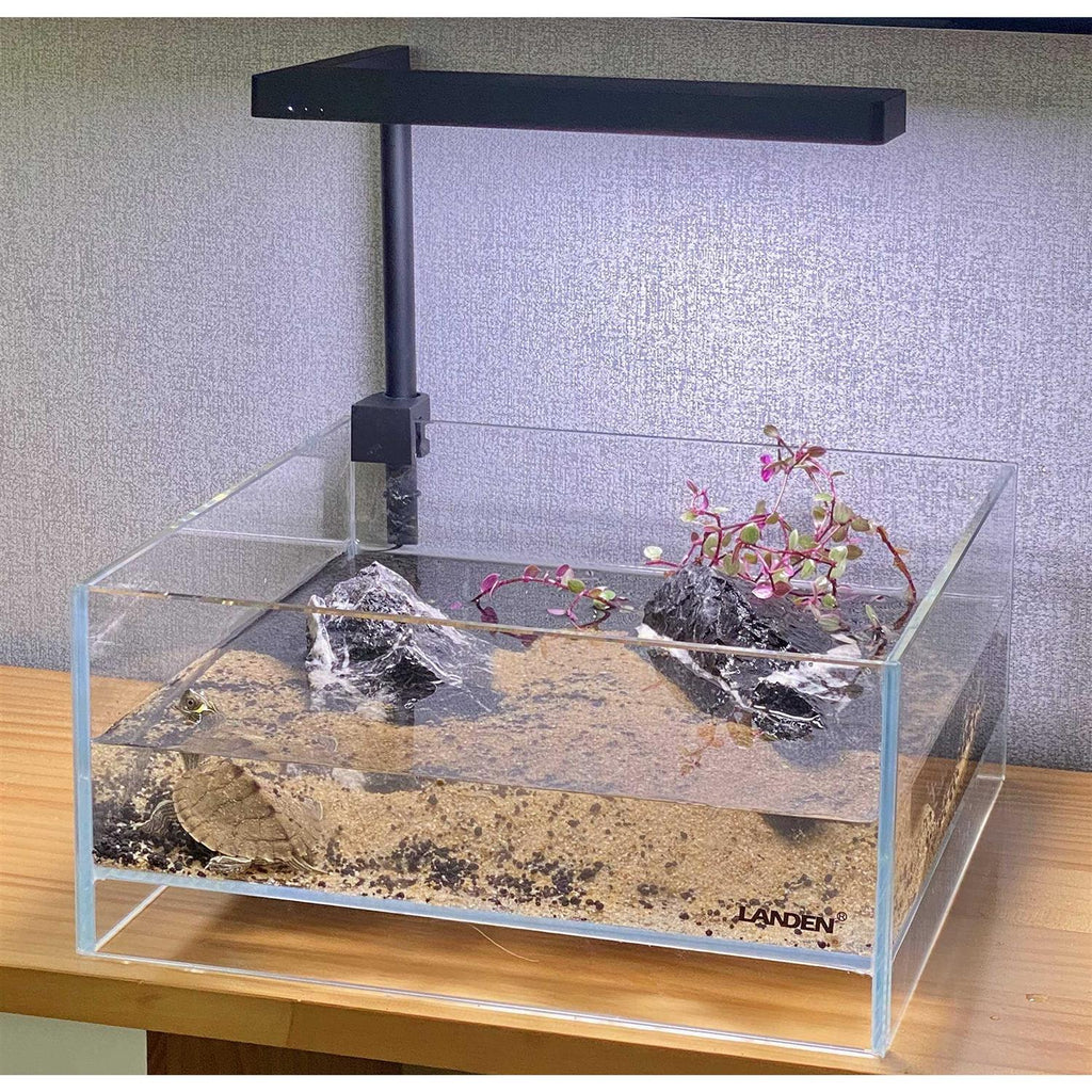 Glass Rimless Low Iron Aquarium Tank 1.6 Gallon O18570