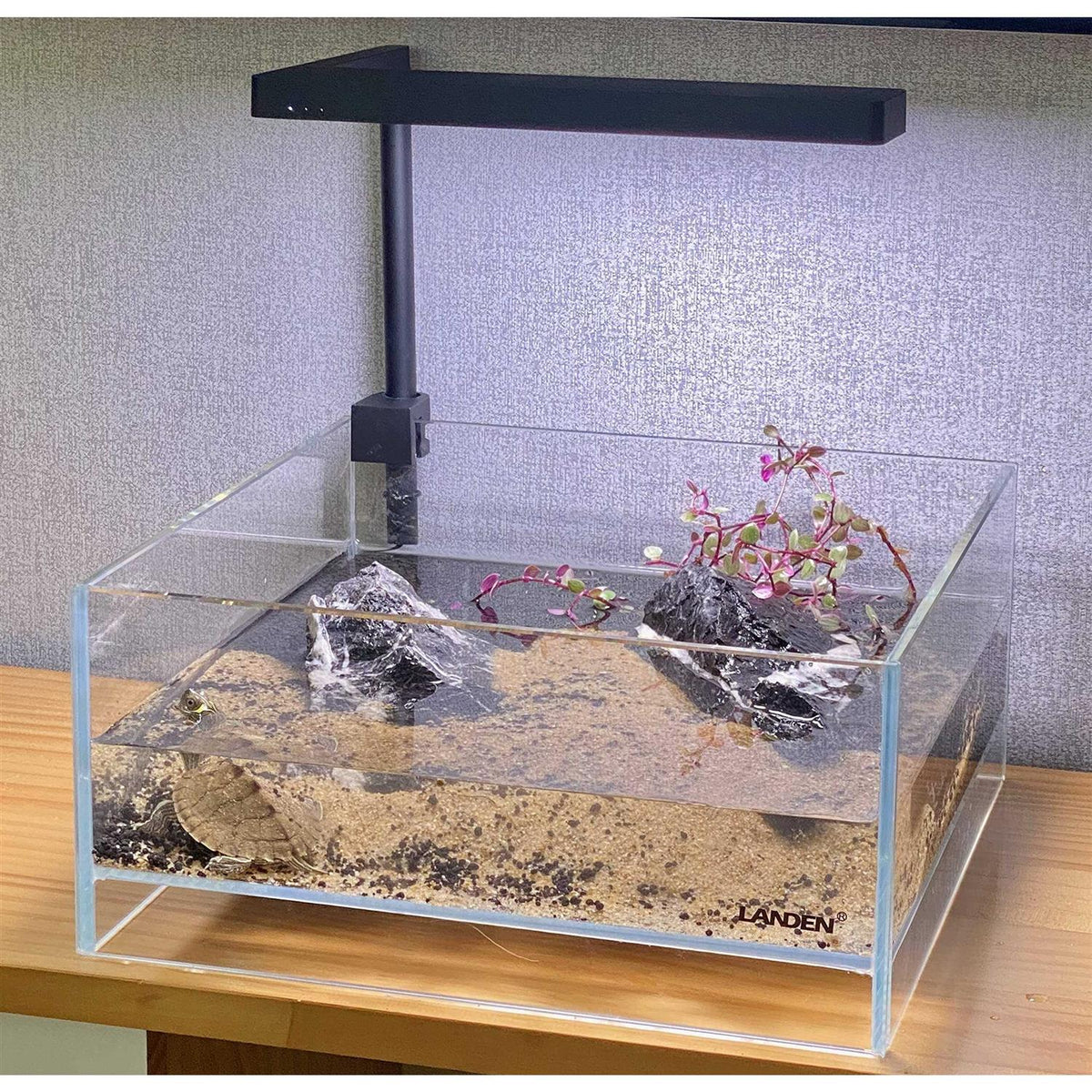 Glass Rimless Low Iron Aquarium Tank 1.6 Gallon O18570