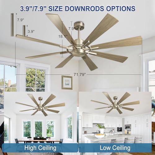 Large 60" Low Profile Indoor Ceiling Fan with Light and Remote Control, Black and Gold R89246