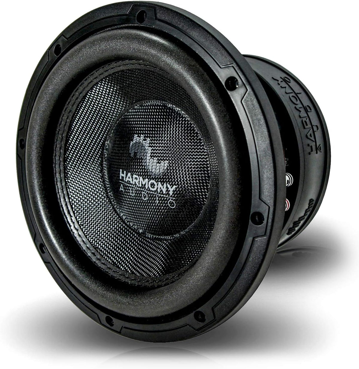 10 Sub 2000W Dual 2 Ohm Subwoofer T284829
