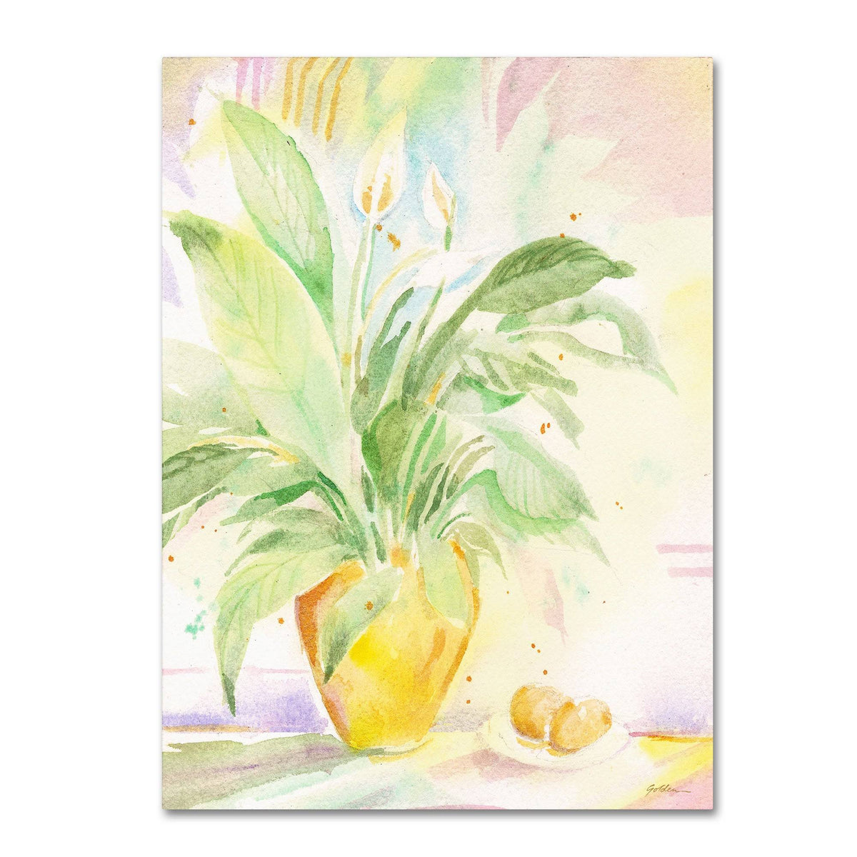 Sheila Golden The Peace Lily Canvas Art E548