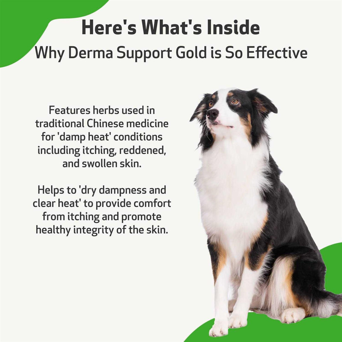 Derma Support for Healthy Coat in Dogs C28542