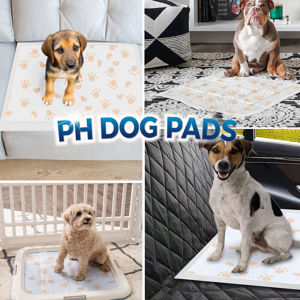 110 Count Disposable Dog Training Pads G7456