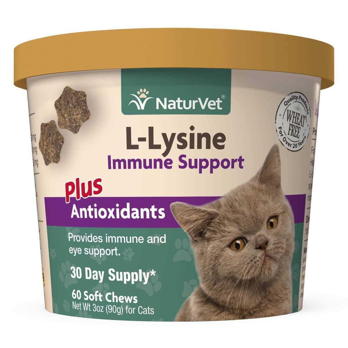 L-Lysine Immune Support Plus Antioxidants J641558