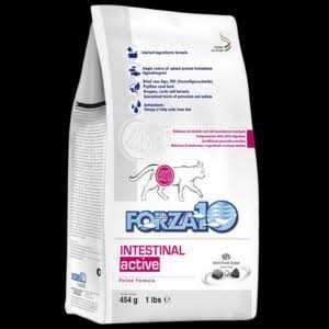 Intestinal Support Dry Cat Food W732