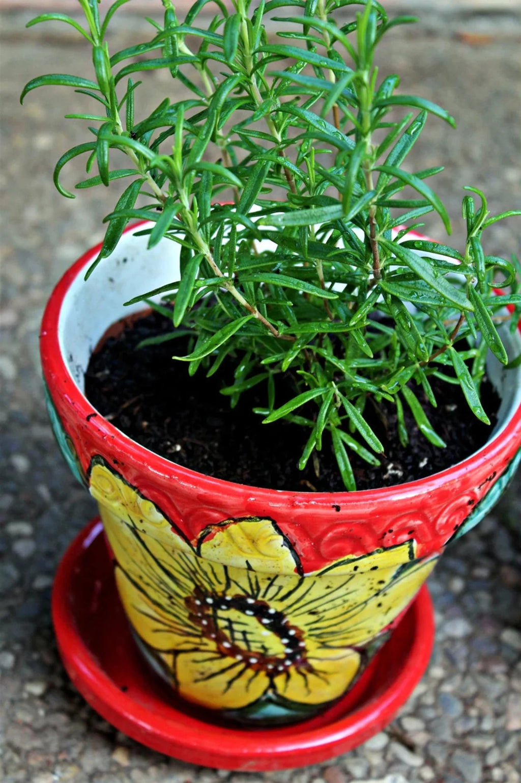 Spanish Garden Pot V381