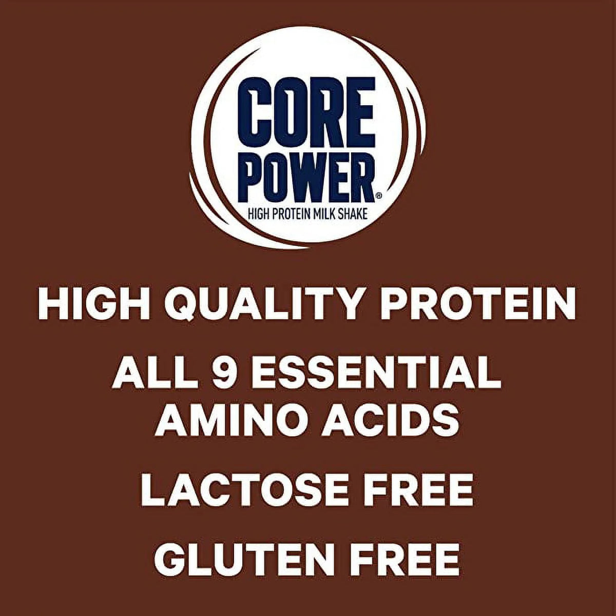 26g Protein Chocolate Milk Shakes 14 Fl Oz (Pack of 12) I914