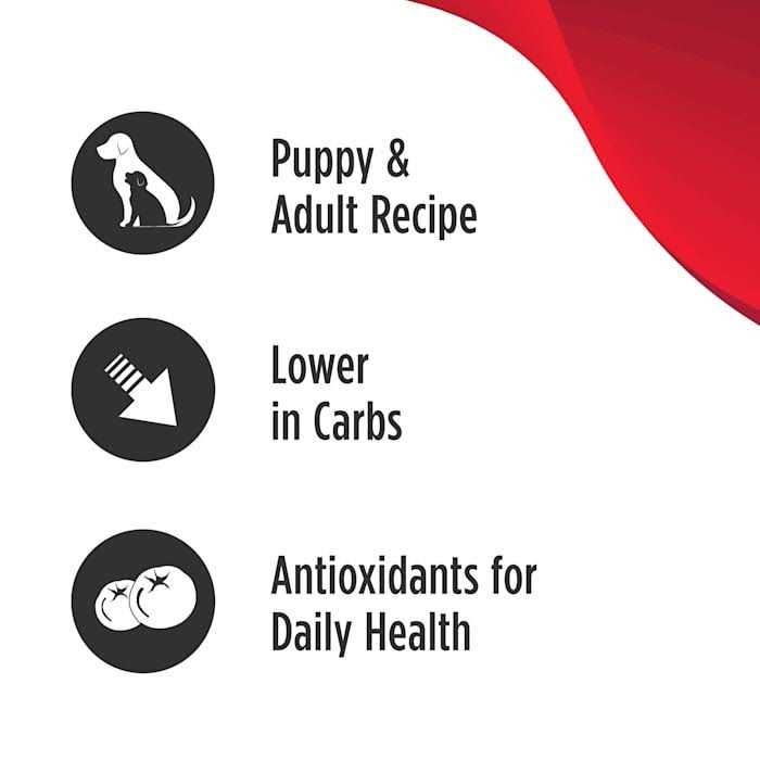 Grain Free Limited Ingredient Turkey Dog Food V98957