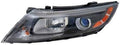Driver Side Halogen Headlight B218