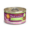 Wet Cat Food in Gravy P7789