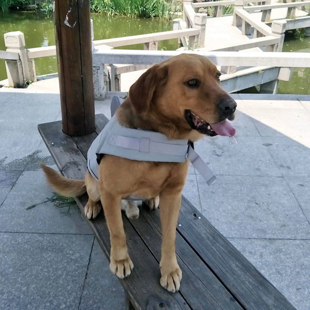 Dog Shark Swimsuit Vest Pet Safety Wear X114539
