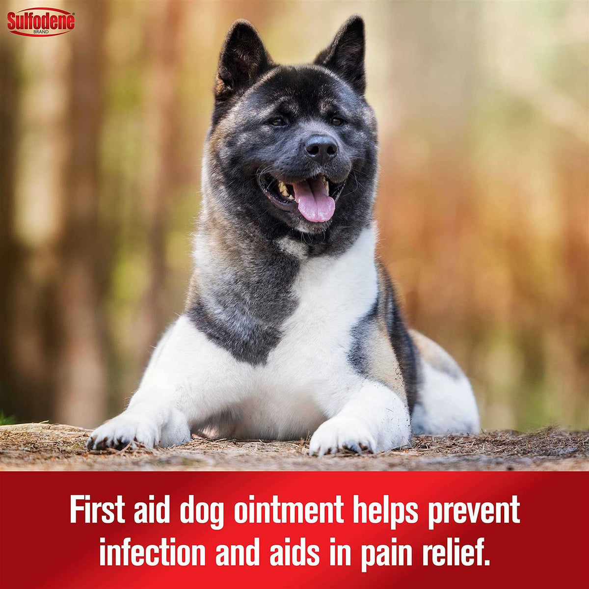 Dog Ointment W152