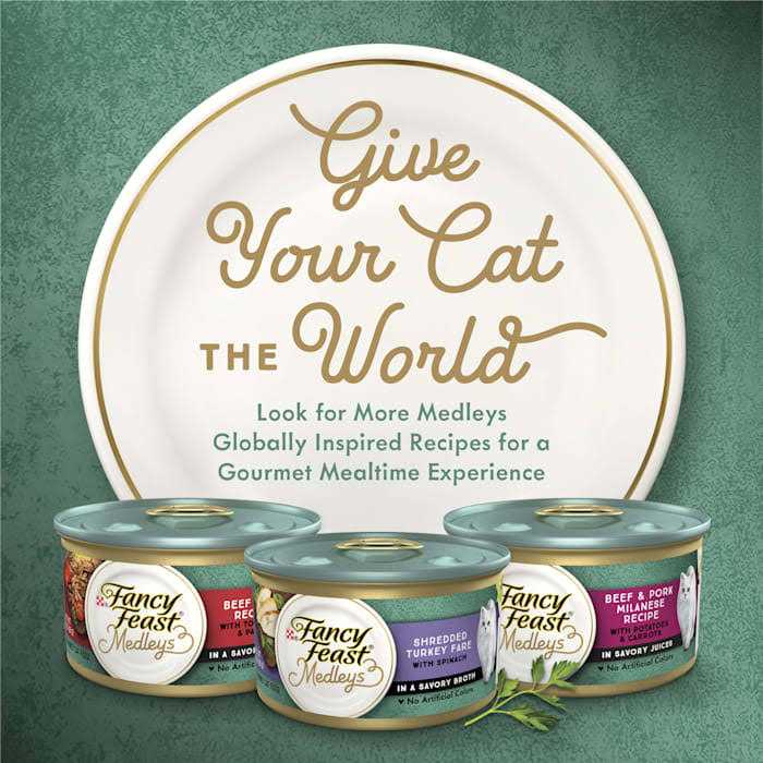 High Protein Wet Cat Food D9492