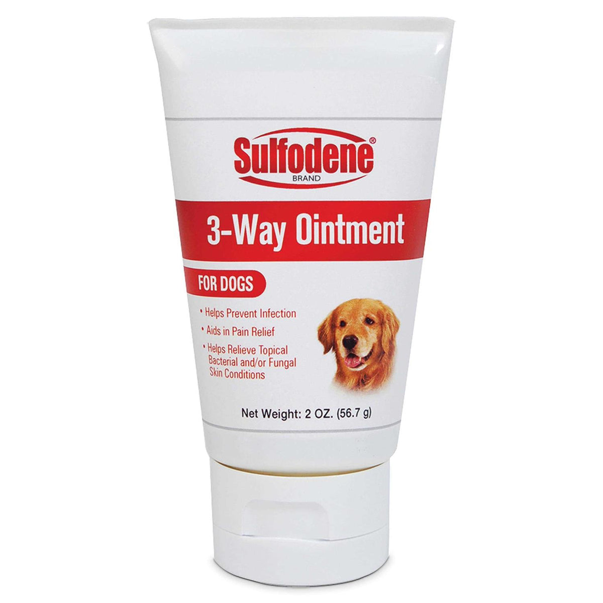 Dog Ointment W152