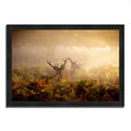 Framed Photograph Print K23007