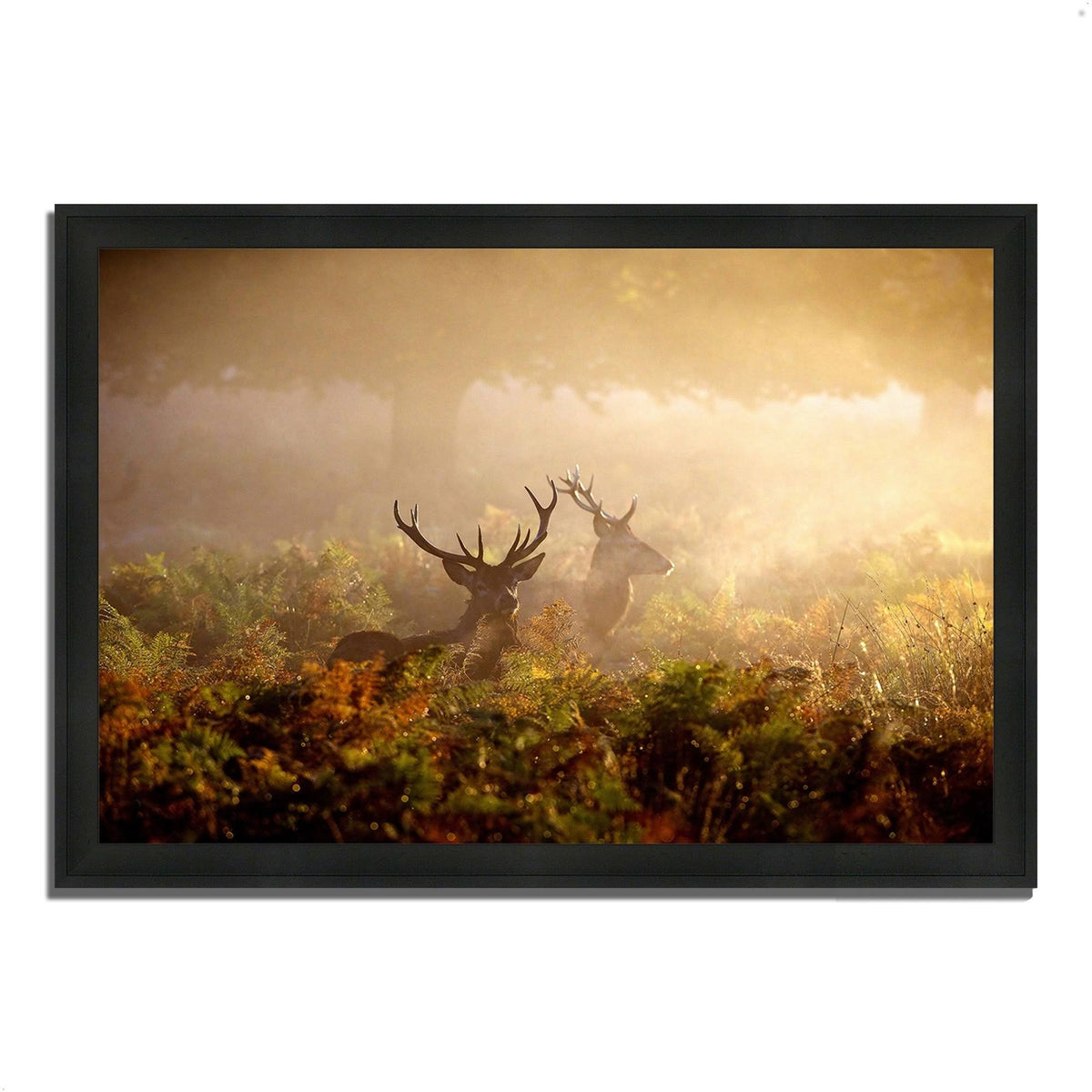 Framed Photograph Print K23007