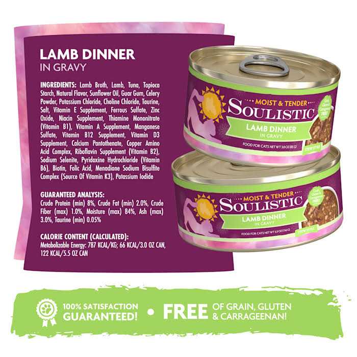 Wet Cat Food in Gravy P7789