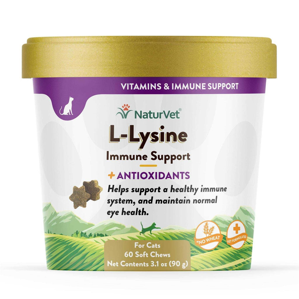 L-Lysine Immune Support Plus Antioxidants J641558