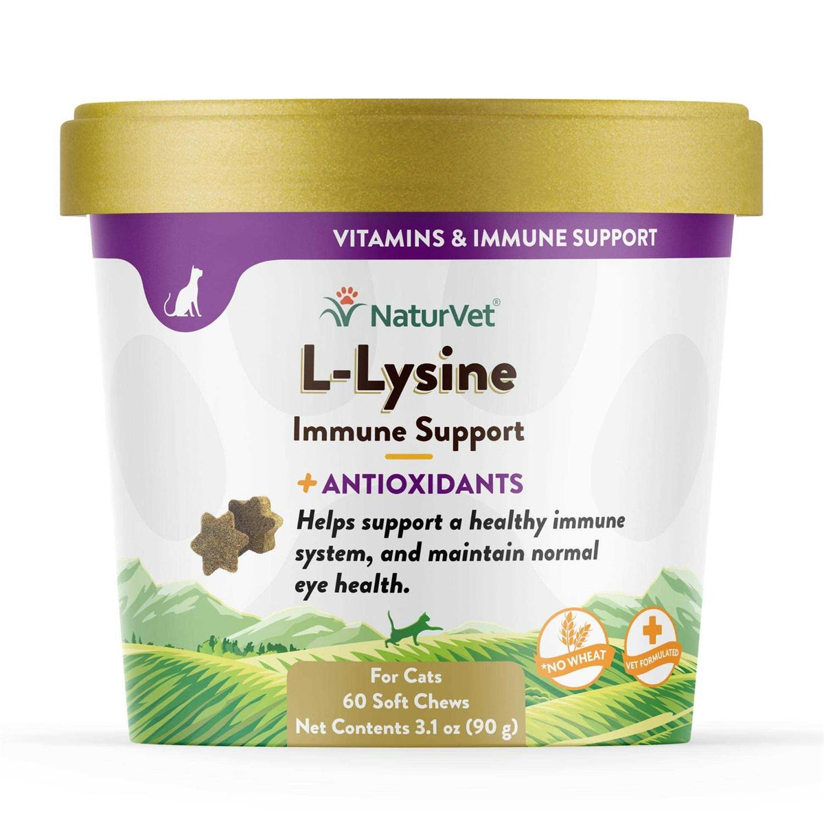 L-Lysine Immune Support Plus Antioxidants J641558