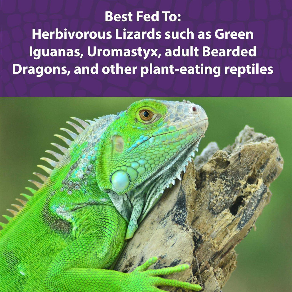 Herbivorous Reptile Diet B793