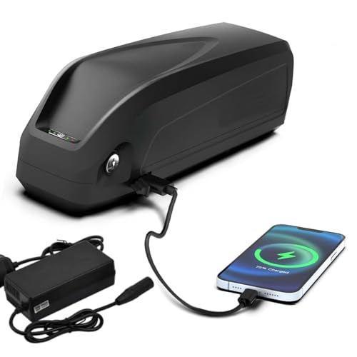 48V 36V Lithium ion Rechargeable Battery with Charger and USB Port C959756